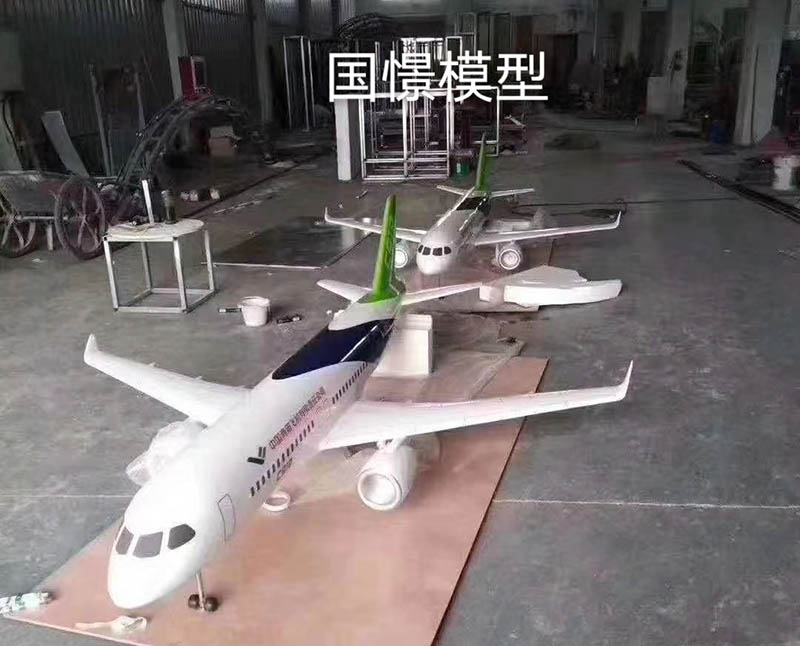 武安市飞机模型