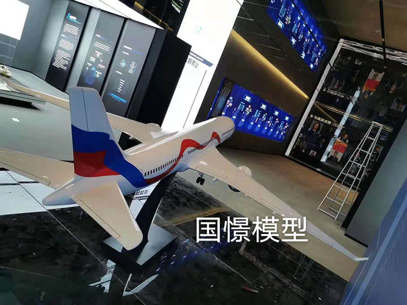 武安市飞机模型